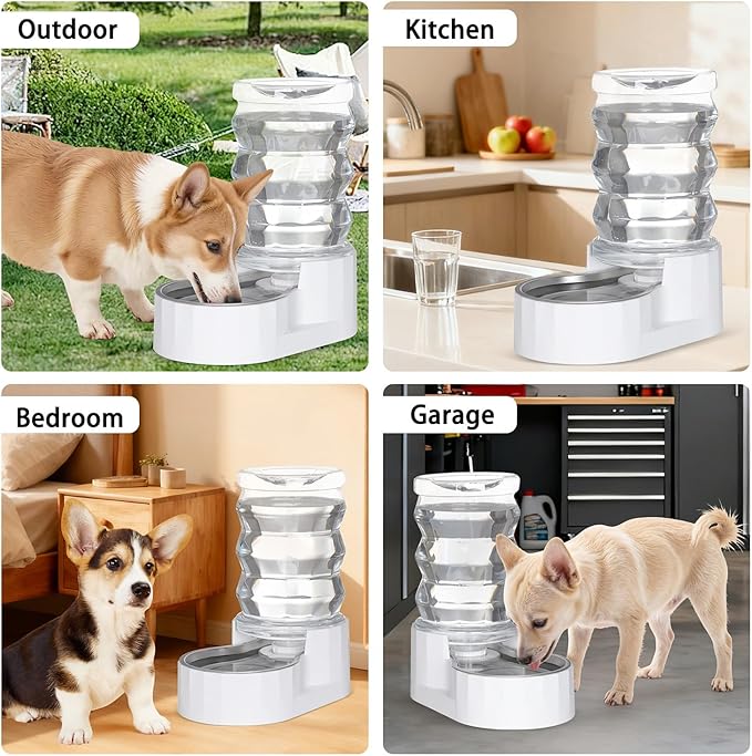 RIZZARI Automatic Gravity Pet Dispenser: Helps Prevent Urinary Stones - an Activated Carbon Ion Exchange System - Removes Odors - Softens Water -6.5L Large Capacity Stainless Steel - Living Room