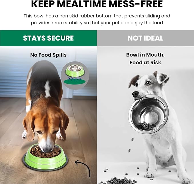 Iconic Pet 4 Cup/32 Oz Elegant Stainless Steel Color Splash Food/Water Bowl with Non Skid, Noise Free, Removable Rubber Ring - Dog/ Cat Feeding Bowl In color shade, Dishwasher Safe - Green, 2 Bowls