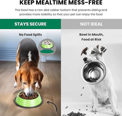 Iconic Pet 4 Cup/32 Oz Elegant Stainless Steel Color Splash Food/Water Bowl with Non Skid, Noise Free, Removable Rubber Ring - Dog/ Cat Feeding Bowl In color shade, Dishwasher Safe - Green, 2 Bowls