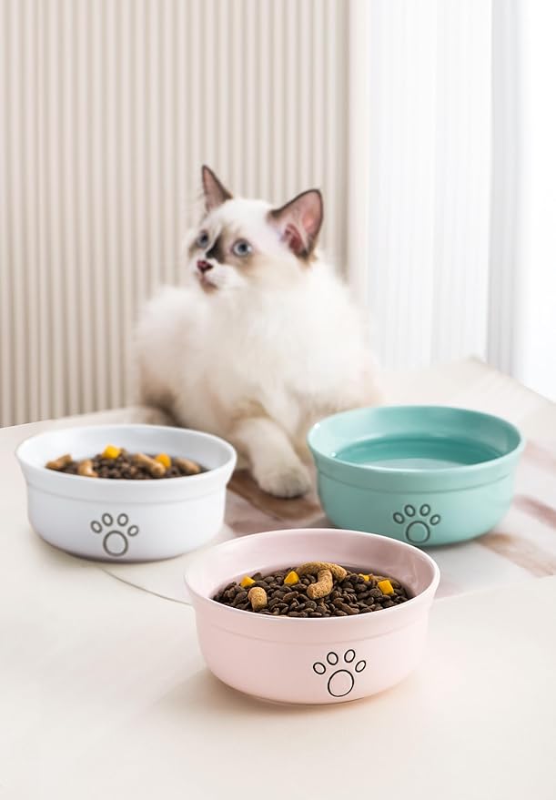 Ceramic Dog Bowls, Pet Feeding Bowls for Cats and Small Dogs 20 oz (6", Blue/Pink/White)