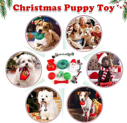 Christmas Dog Toys 9 Pack, Luxury Santa Puppy Chew Toy, Cotton Squeaky Plush Toys for Small Dogs, Durable Interactive Rope Treat Dog Ball and Bones, Rubber Teething Toys for Dogs Gifts