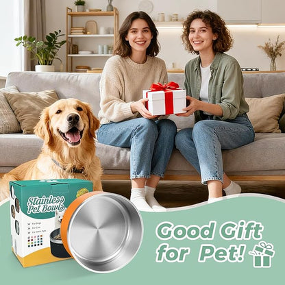 LIHONG Stainless Steel Dog Bowls for Small Meidum Sized Dogs,Dog Food Water Bowls No Slip,Dishwasher Safe(40oz,Orange)
