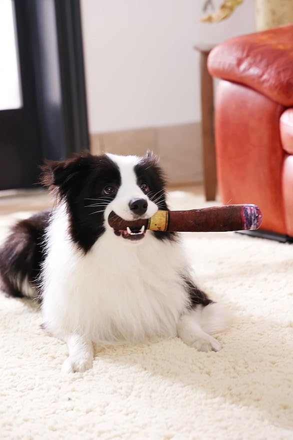 Tamu style Funny Dog Toy with Interactive Squeaky Sound and Plush Cotton Filled Softness for Small, Medium, and Large Puppies and Dogs, Fun Novelty Play
