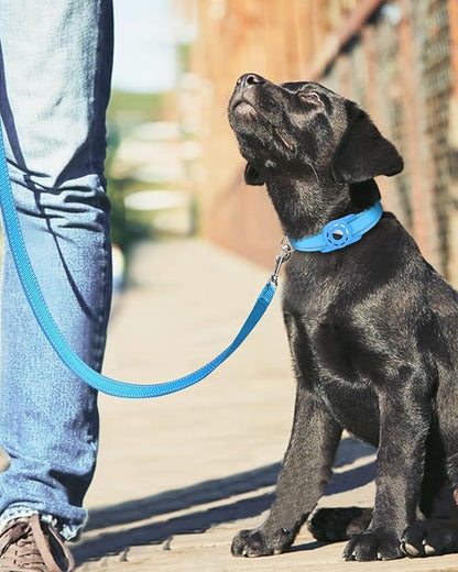 Reflective Dog Leash 6ft Soft Padded Handle Nylon Lead for Medium & Large Dogs, Durable Walking Training Leash for Night Safety (SkyBlue,1Inch Wide)