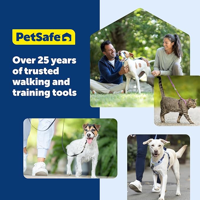 PetSafe Deluxe Easy Walk Harness - Trainer-Trusted Dog Chest Harness with Breathable Martingale Loop Design - Helps Stop Pulling with No Choking & Gagging - Small - Ocean
