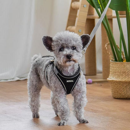AIITLE Small Harness for Puppy with A Leash - Dog Vest Harness with Super Breathable Mesh, Reflective No-Pull Pet Harness for Outdoor Walking, Running for Small Dogs, Cats Black XXS