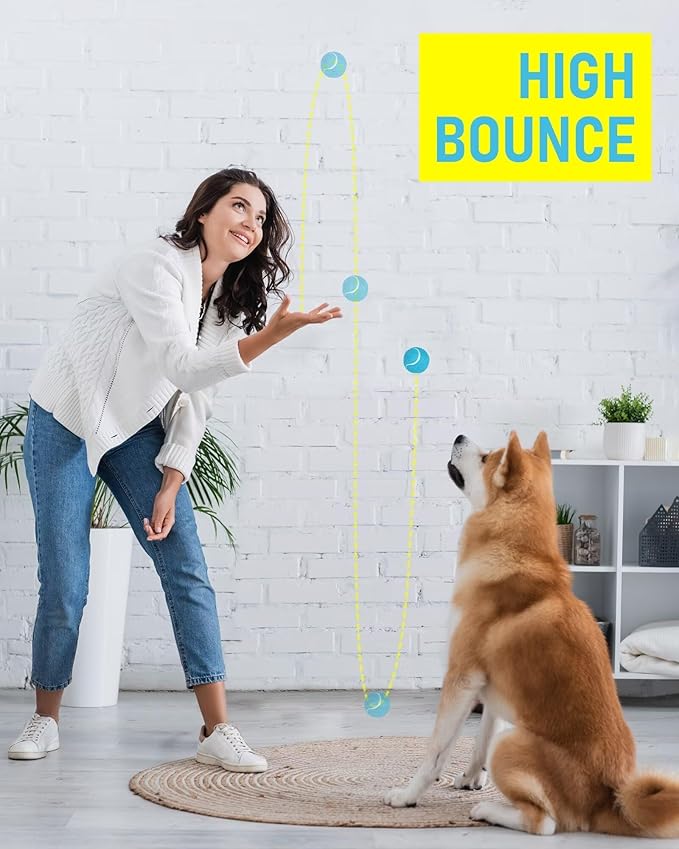 Prime Pets Durable Dog Tennis Balls 3 Pack, 2.5” High-Bounce Non-Squeaky Silent Dog Toy Balls for Fetch & Outdoor Training, Suitable for Small and Medium Dogs