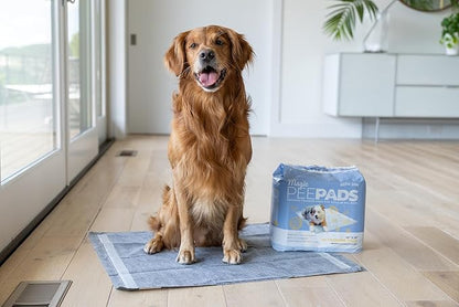 Alpha Paw - Magic Dog & Puppy Pee Pads - Puppy Pads with Charcoal, Extra Thick 6 Layers + Gel Tech Absorbs 6 Cups, Advanced Quick-Dry Indoor Wee Wee Pads for Dogs Training - XL Dog Pads 26”x30” 40 CT