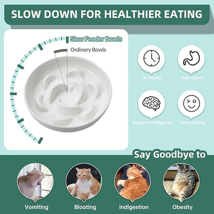 Cat Slow Feeder Bowl Set - 2-Pack Ceramic Cat Dishes for Slow Eating - Whisker-Friendly Cute Maze Bowls for Dry & Wet Food - Microwave & Dishwasher Safe - White and Green