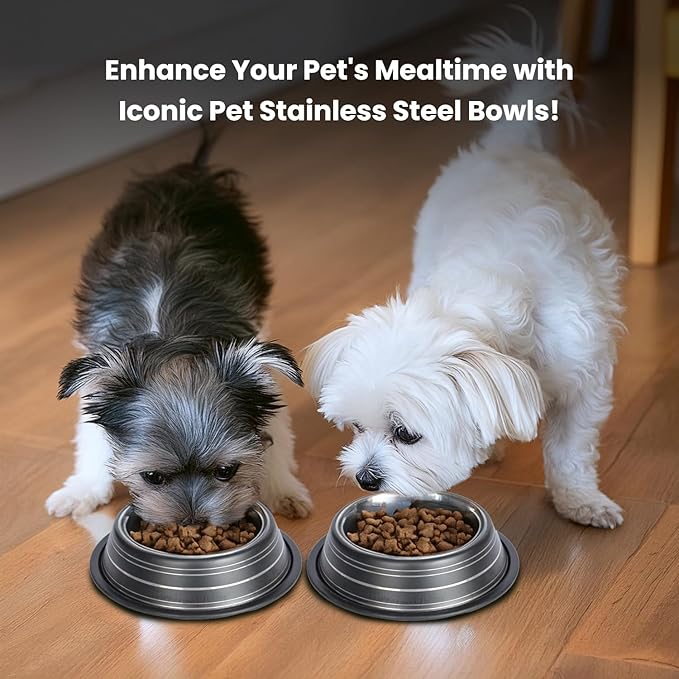 Iconic Pet Color Splash Stripe Non-Skid Stainless Steel Dog & Cat Bowl - Black, 8 Oz, 1 Cup, Durable, Easy to Clean, Anti-Slip Feeding Dish for Food & Water, Stylish Design for Dogs and Cats