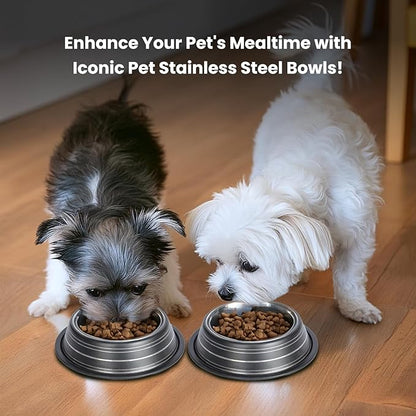 Iconic Pet Color Splash Stripe Non-Skid Stainless Steel Dog & Cat Bowl - Black, 8 Oz, 1 Cup, Durable, Easy to Clean, Anti-Slip Feeding Dish for Food & Water, Stylish Design for Dogs and Cats