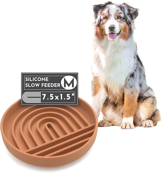 Should We Go? Slow Feeder for Dogs & Puppies, The Slowdown Bowl Silicone Slow Eating Modern Lick Mat Design, Reduces Gulping, Fits 2 Cups 7.5” Across x 1.5” Tall, Mealtime Challenge, Medium-Terracotta