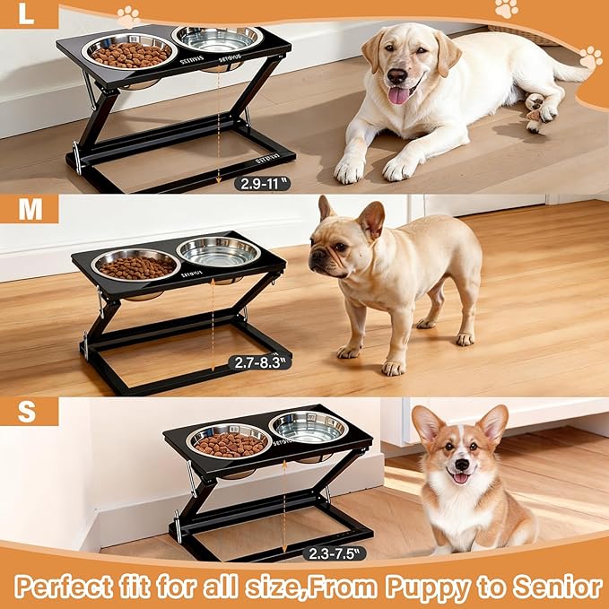 Elevated Dog Bowls, Adjustable Raised Dog Bowl Stand with 2 Stainless Steel Food Bowls 20°Tilted Water Bowls for Medium Small Sized Dogs (Black, Medium)