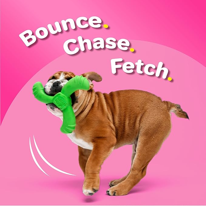 Hartz DuraPlay Bacon Scented Dog Toys, Medium/Large ( Colors may vary ) All Breed Sizes