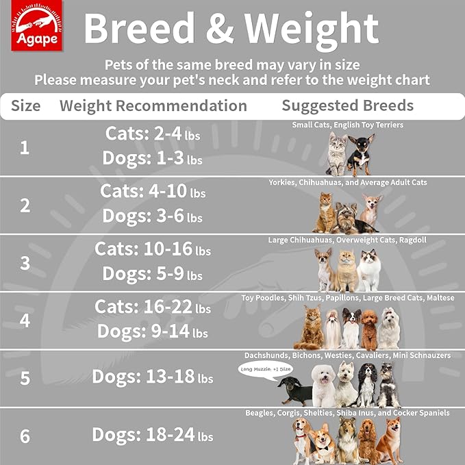 Agape Soft Dog Cone for Small Dogs & Cats, Comfy Dogs Recovery Collar After Surgery, Adjustable E Collar Alternative to Stop Licking, Protective Elizabethan Collars for Pup, Comfortable Dog Cones
