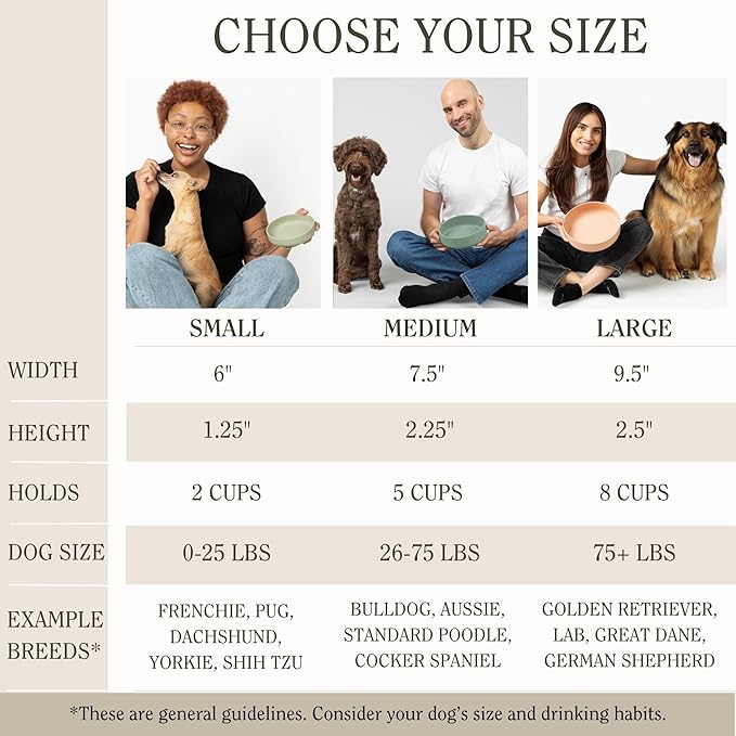 Should We Go? Dog Water Bowl - The Perfect Dish No-Spill Less Mess Non-Tippable Water & Food Bowl, Pure Silicone with Suction Cup Fits 5 Cups 7.5" Across x 2.25" Tall Ideal for All Pets, Medium-Spruce