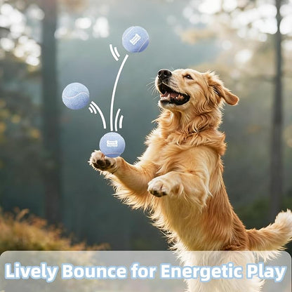 2.5" Dog Tennis Balls 6-Pack Silent Bounce, Tough Rubber Core, Durable Fetch & Training Toys for Indoor/Outdoor Play, for Small Medium Large Dogs (Light Blue, 6 Pack)