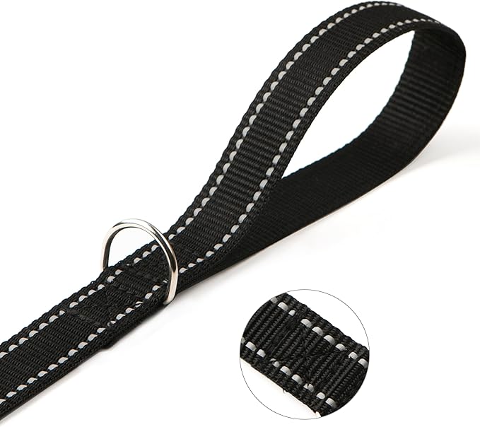 6FT Reflective Dog Leash for Large&Medium and Small Dogs,Nylon Leashes for Walking and Training,6 Foot Leash with D Ring, 6 FT (1 inch X 6FT, Black)