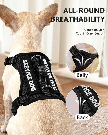 Service Dog Vest for Small Breed Dogs with ID Tag – Lightweight Puppy Harness and Leash Set with 6 PCS Patches, Ideal Service Animal Vest for Training, Complete Service Dog Gear, Black, M