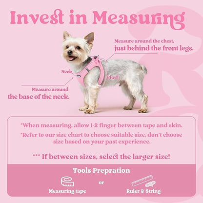 rabbitgoo Small Dog Harness, Step-in Soft Mesh Puppy Vest with Safety Buckle, Breathable Reflective Pet Harness for Large Dogs, Light Pink XXL