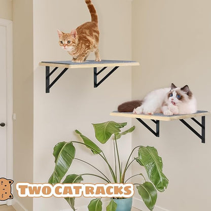 Burlywood Cat Furniture Indoor Set of 2: Wood Shelves with Scratching Pad, Climbing Shelf for Sleeping & Playing, Window Perch for Big Cats