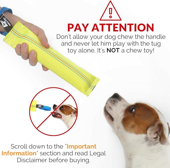 Dog Bite Tug Toy 10 inches - Durable, Interactive Toys for Medium to Large Dogs - Perfect for Tug of War, Fetch & Puppy Training - Safe Fire Hose Dog Tug with Strong Handle - Tough Floating Pull Toy