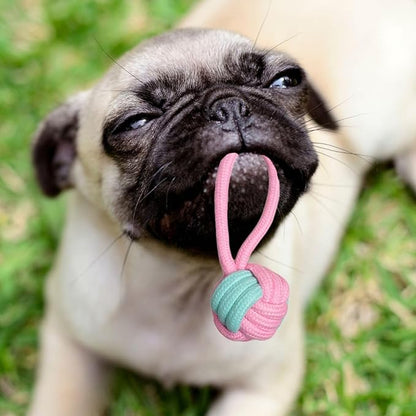 2ME Puppy Rope Toys for Teething and Chewing - Set of 4 Natural Cotton Tug of War Rope for Dogs of All Breeds and Sizes