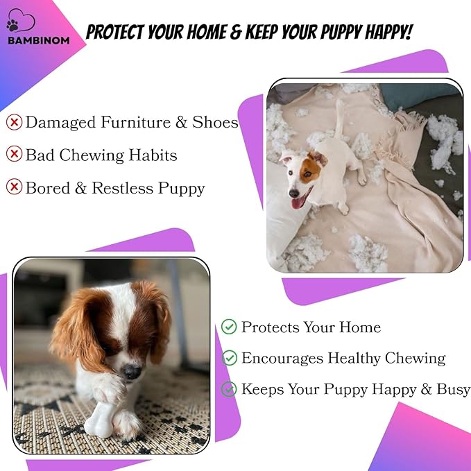 Durable Dog Bone Chew Toy for Small Breeds, Squeaky, Puppy Chew Bone, Supports Dental Health & Teething Relief, 4.5”, Pack of 3 for Small to Medium Dogs