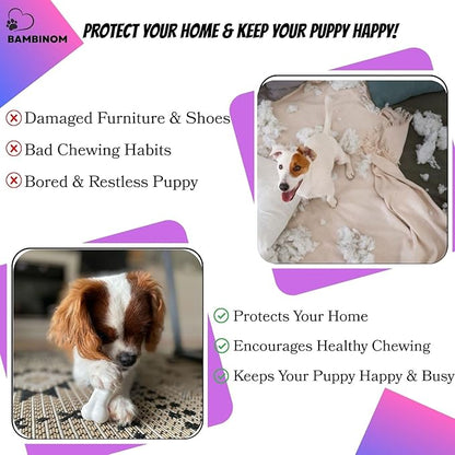 Durable Dog Bone Chew Toy for Small Breeds, Squeaky, Puppy Chew Bone, Supports Dental Health & Teething Relief, 4.5”, Pack of 3 for Small to Medium Dogs