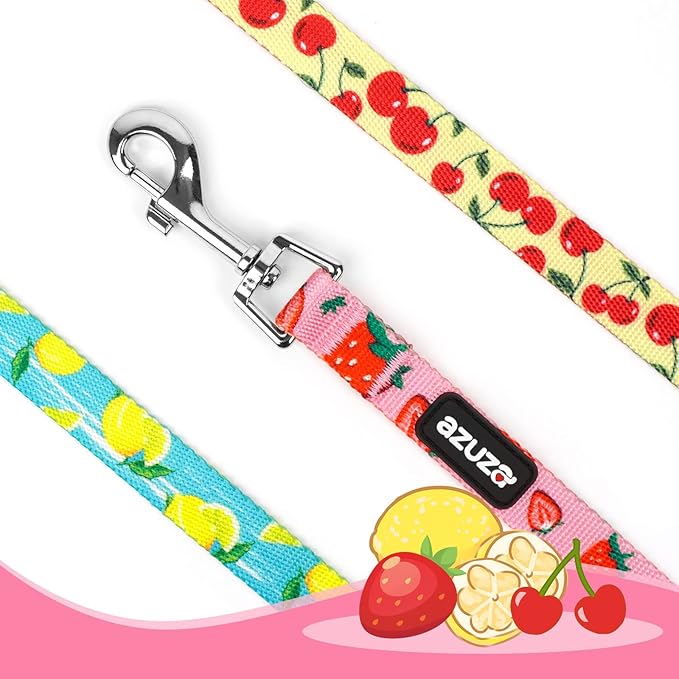 azuza 3 Pack Fruit Design Nylon Dog Leashes Strong & Durable Basic Dog Leash with Easy to Use Collar Hook for Medium Dogs, M (5FT,3/4")
