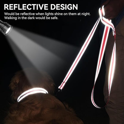 Joytale Dog Leash, 5 FT Double-Sided Reflective, Padded Handle Nylon Heavy Duty Leashes for Small Dogs Walking, Neon Pink