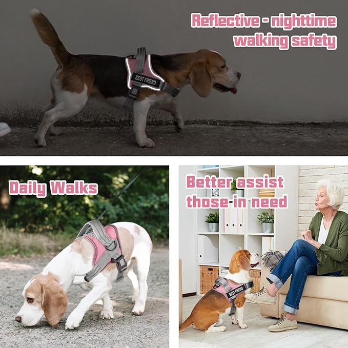 AUROTH Dog Harness and Leash Set, Soft Padded Service Dog Vest with 5.25FT Dog Leash, No Choke, Easy On Pet Vest, Adjustable Reflective No Pull Dog Harness Small Sized Dog, Easy Walking and Training