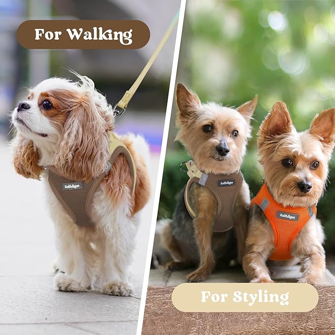 rabbitgoo Small Dog Harness, Step-in Soft Mesh Puppy Vest with Safety Buckle, Breathable Reflective Pet Harness for Small Sized Dogs, Brown & Beige XS