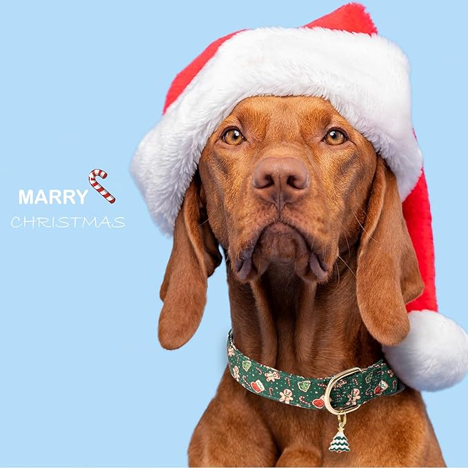 Faygarsle Green Dog Collar Christmas Design Gingerbread Man Pattern for Small Medium Large Dogs Collar Cute Stylish Girl Boy Christmas Dog Collar XS