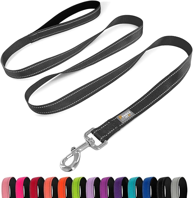 Dog Leash 6 FT Padded Handle Nylon Reflective Dogs Leashes for Large Dogs Black
