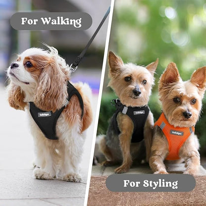 rabbitgoo Small Dog Harness, Step-in Soft Mesh Puppy Vest with Safety Buckle, Breathable Reflective Pet Harness for Extra Small Dogs, Black XXS