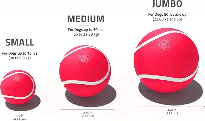 Playology Dog Toys | Squeaky Chew Ball - Bouncy Durable Floating Fetch Ball for Dogs | Medium Grandma's Gravy Scented Toy | Limited Edition Holiday Toys - Made from Non Toxic Materials