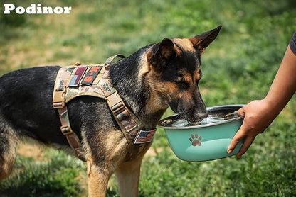Large Dog Water Bowl 2 Pack, 1.3 Gallons 170oz Stainless Steel Extra Large Dog Food Bowl for Big Giant Dogs, Black