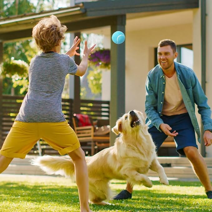 Prime Pets Dog Tennis Balls 3 Pack, 2.5” Durable High-Bounce Tennis Balls for Dogs, Squeaky Dog Ball for Fetch & Training, Outdoor Interactive Dog Toy Ball for Small and Medium Dogs