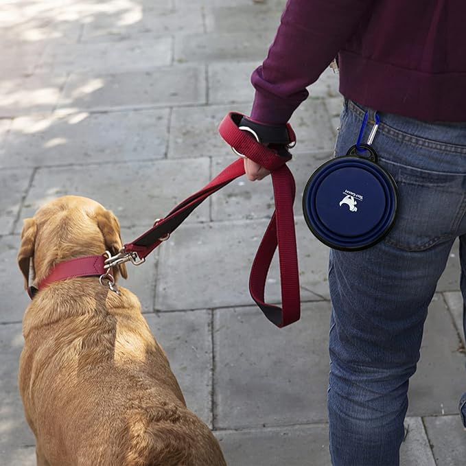 Collapsible Dog Bowls for Travel, 2-Pack Dog Portable Water Bowl for Dogs Cats Pet Foldable Feeding Watering Dish for Traveling Camping with Carabiners, BPA Free (Grey&Navy, Medium (Pack of 2))