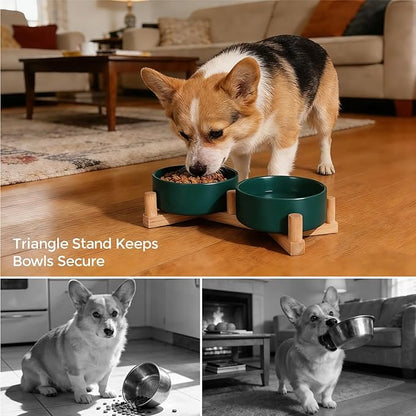 Ceramic Dog Bowl and Cat Bowls Set with 15° Adjustable Wood Stand, Non-Slip Weighted Pet Food and Water Bowls, Dual Raised Feeder for Small Dogs, Matte Glaze Pet Dish 13.5oz Set of 2 (Forest Green)