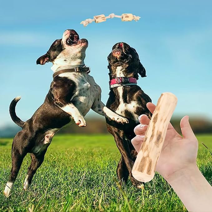 Natural coffee wood, Large Dog Chew Toy Set（1Throwing and chewing on the rope knot toy+1Coffee wood chewing stick）. Sturdy and Durable, Fun and Healthy, It Is the Ideal Toy Exclusively for Dogs