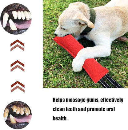 2 Pack Tug of War Dog Toy, Interactive Dog Toys, Pet Tough Jute Bite Pillow with 2 Handles, Dogs Interactive Toy, Dogs Training Toys for Small and Medium