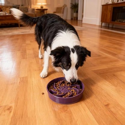 Ceramic Slow Feeder Dog Bowl, 1.5 Cup Dog Food or 20oz Water, Slow Eating Bowl for Small Breed, Maze Puzzle Feeder for Fast Eaters, Anti-Choking Stop Bloat, Non-Slip BPA Free (Purple)