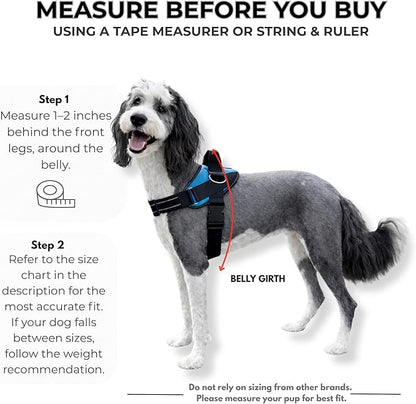 ShawnCo Essential Dog Harness, No-Pull Pet Vest with 3 Leash Clips, No Choke, Reflective, Adjustable and Padded, for Easy Walking and Training for Small, Medium and Large Dogs (Oceanic Blue, XL)