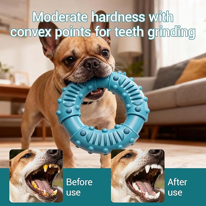 Natural Rubber Indestructible Dog Chew Ring Toys, Interactive Dog Toys for Aggressive Chewers,Dental Teething Training Toys with Textured Nodules, Durable Pet Dog Toy for Boredom (Blue)