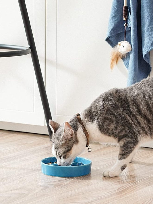 LE TAUCI PET Ceramic Slow Feeder Dog Bowls Small Breed, 0.5 Cups Dog Food Dish for Fast Eaters, Puzzle Bowl for Small Dogs and Cats, 5.5 Inch-Blue