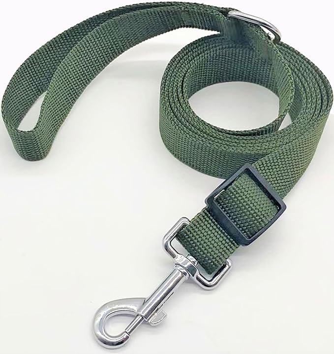 TAIAN Adjustable Nylon Dog Leash, 6FT/10 FT Long Dog Leashes for Small Medium Large Dogs (1 in x 6 ft, Green)
