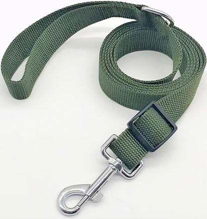 TAIAN Adjustable Nylon Dog Leash, 6FT/10 FT Long Dog Leashes for Small Medium Large Dogs (1 in x 6 ft, Green)
