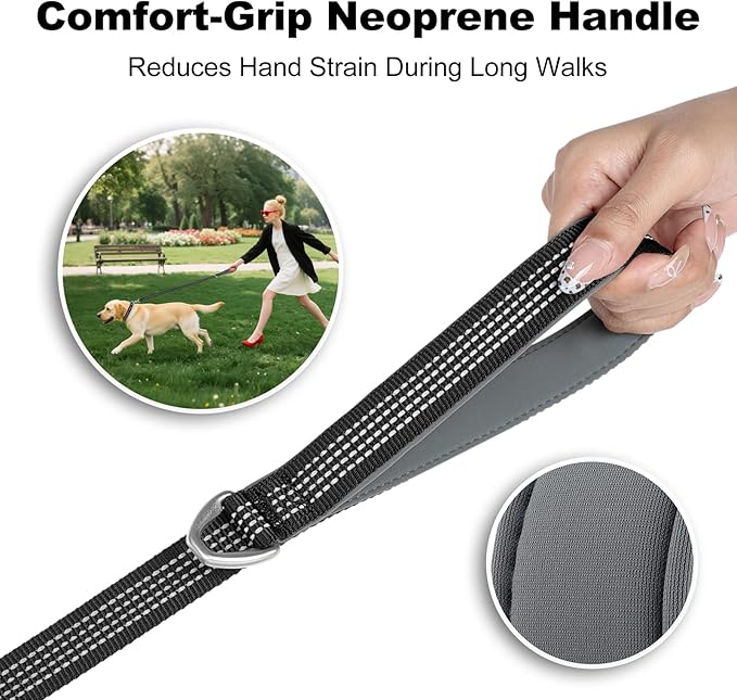 Plutus Pet Heavy Duty Dog Leash with Lockable Aluminum Carabiner, 4/6 Feet Long, Double-Sided Reflective Nylon, Padded Handle, for Puppy, Small, Medium and Large Dogs (Black, 4/5" x 6')